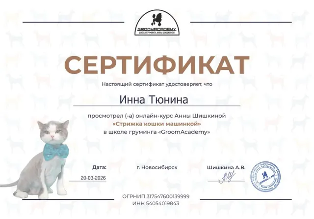 Сертификат: GroomAcademy (школа груминга Анны Шишкиной), онлайн-курс «Стрижка кошки машинкой», 20.03.2026