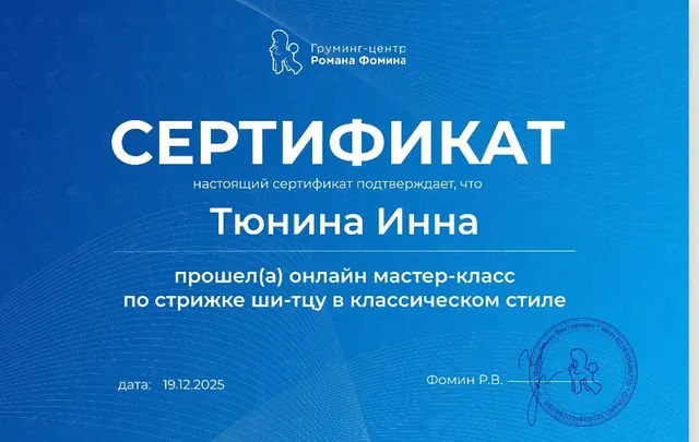 Сертификат: Груминг-центр Романа Фомина, ши-тцу в классическом стиле, 19.12.2025