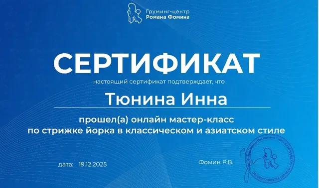 Сертификат: Груминг-центр Романа Фомина, йорк в классическом и азиатском стиле, 19.12.2025